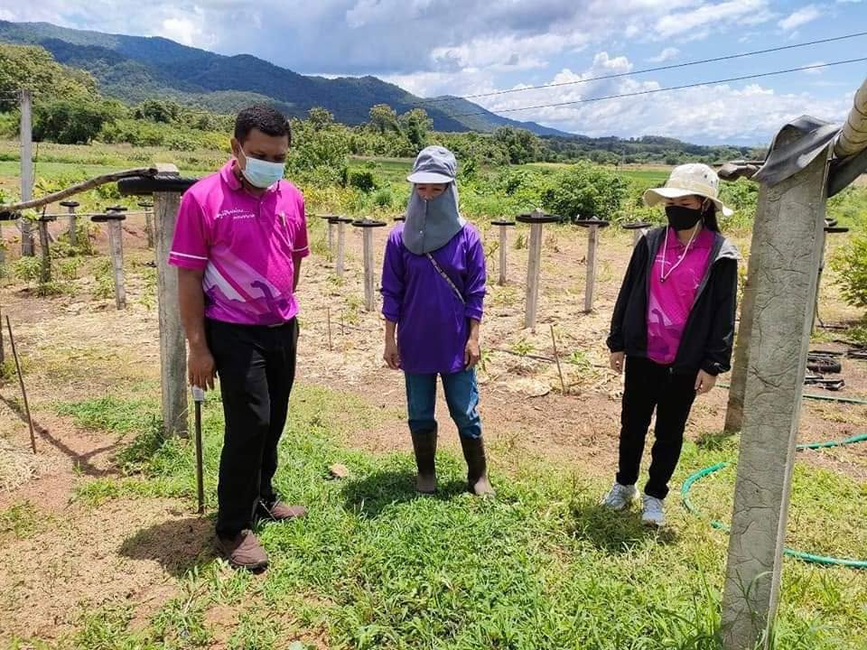 ศูนย์เรียนรู้เศรษฐกิจพอเพียง โคก หนอง นา (นางอัมพร  มูลศรี)