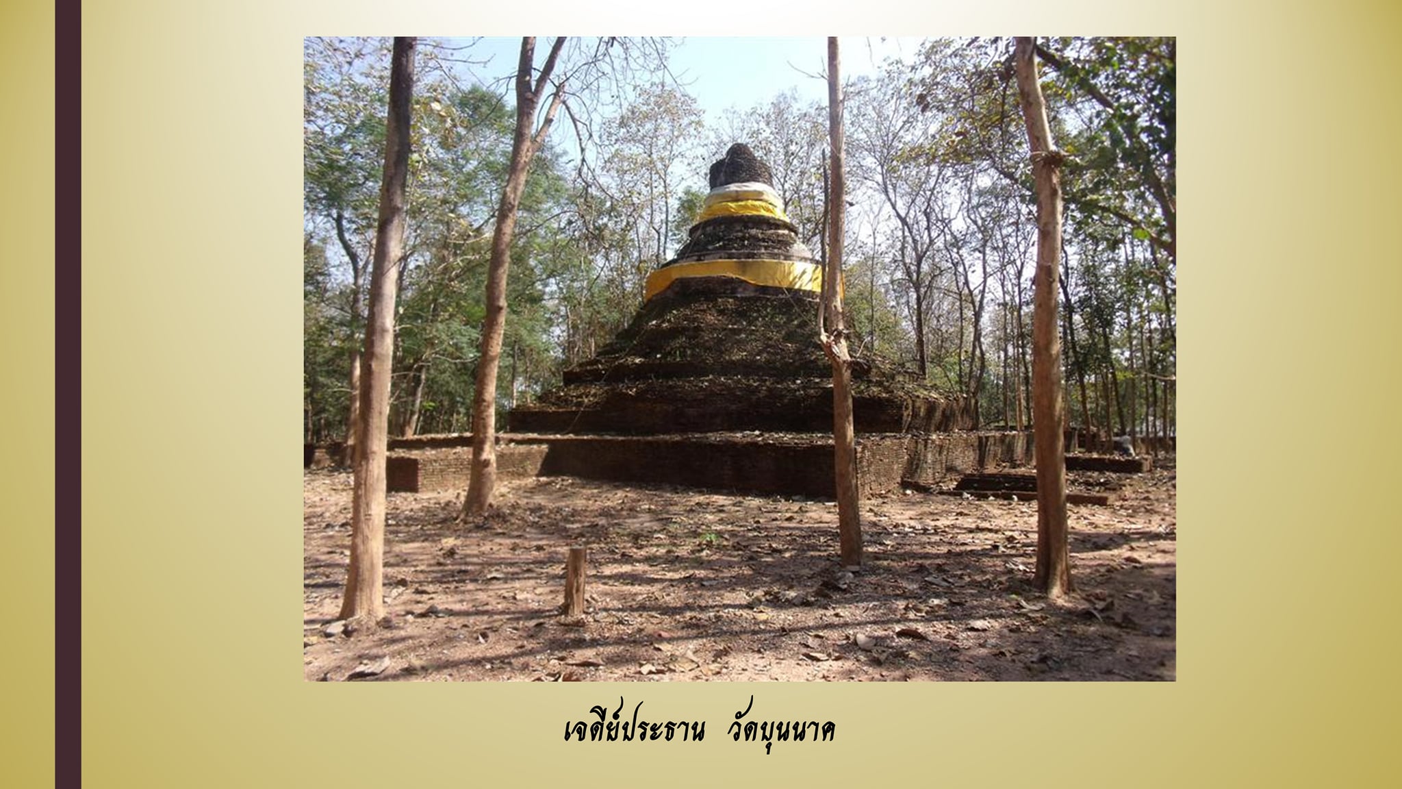 แหล่งเรียนรู้ วัดป่าแดงบุญนาค