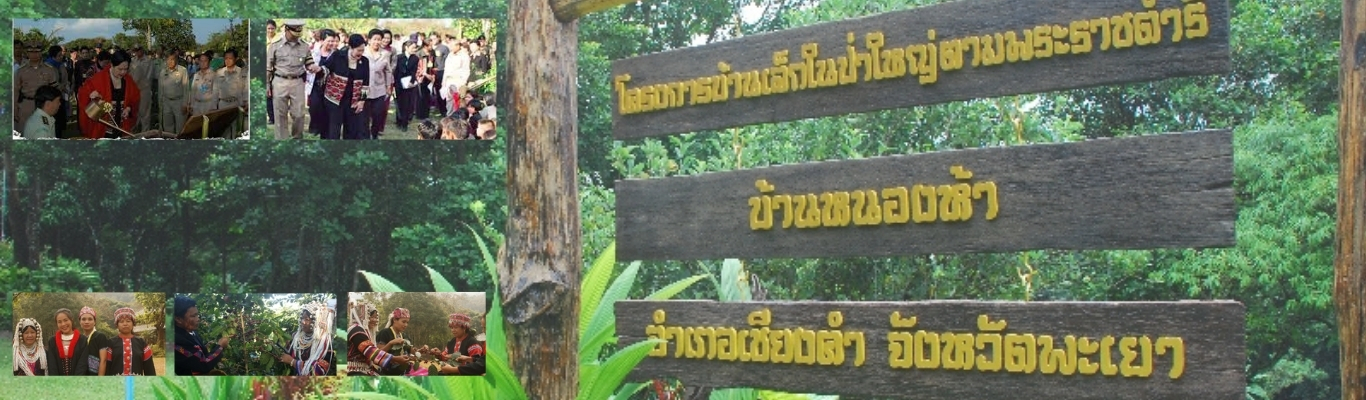 Slide 437